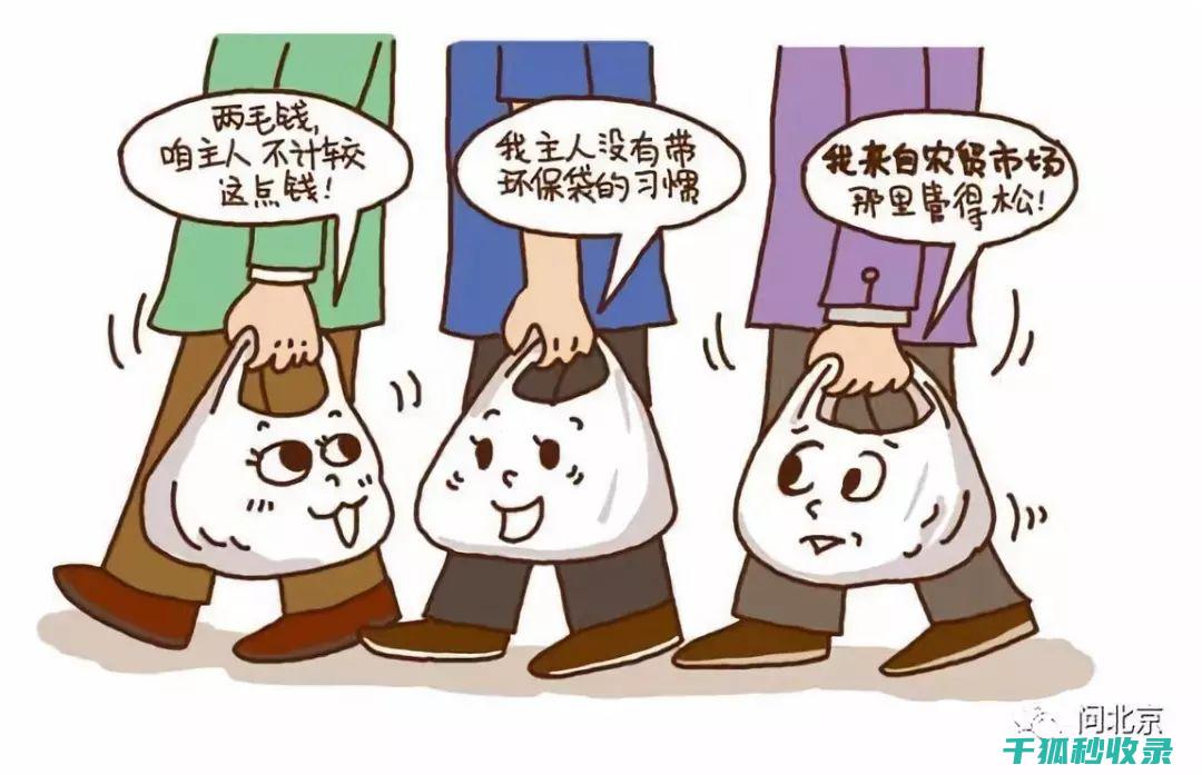 减少塑料使用：减少白色污染，守护地球 (减少塑料使用的措施)