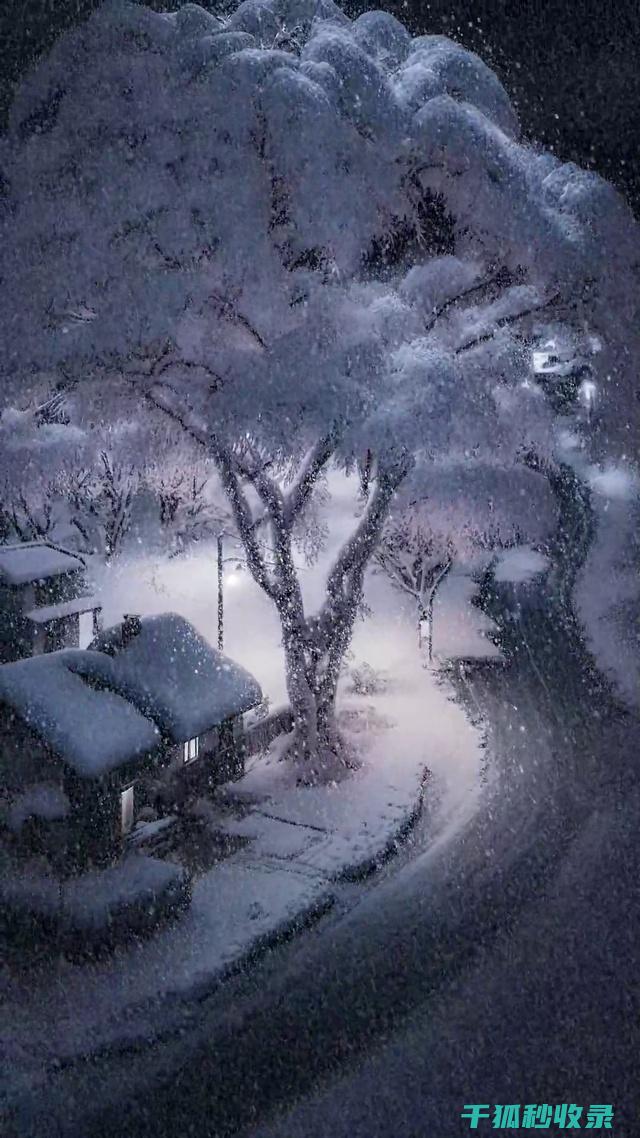 雪天出行安全锦囊：防滑妙招全解析 (雪天出行安全温馨提示)