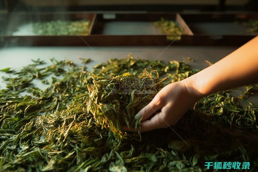晒后的轮胎胎压检测，夏季行车的安全要点！ (轮胎晒久了什么样)