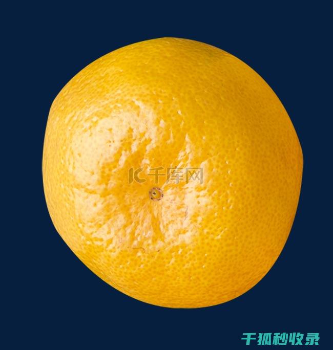 应季水果采摘：秋季最佳采摘地推荐 (当季水果采摘)