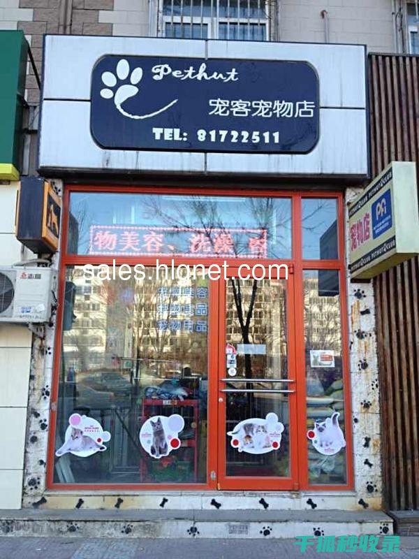 宠物驱虫周期详解：如何制定个性化方案 (宠物驱虫周期建议)