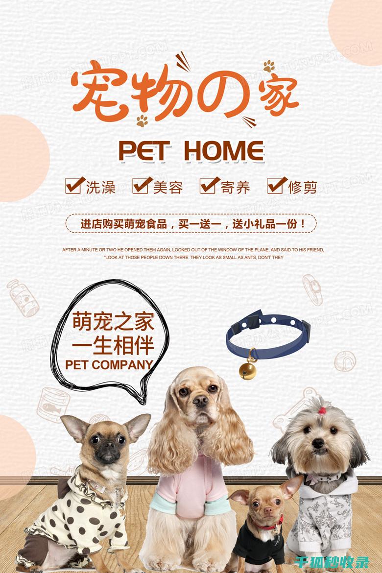 宠物