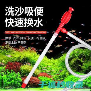 水族箱清洁技巧：如何安全清理水底杂物 (水族箱清洁技术规范)