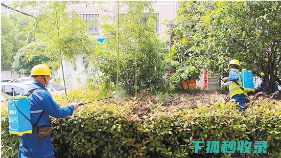 植物病虫害防治：如何通过诱捕器吸引并消灭害虫 (植物病虫害防治考试题及答案)