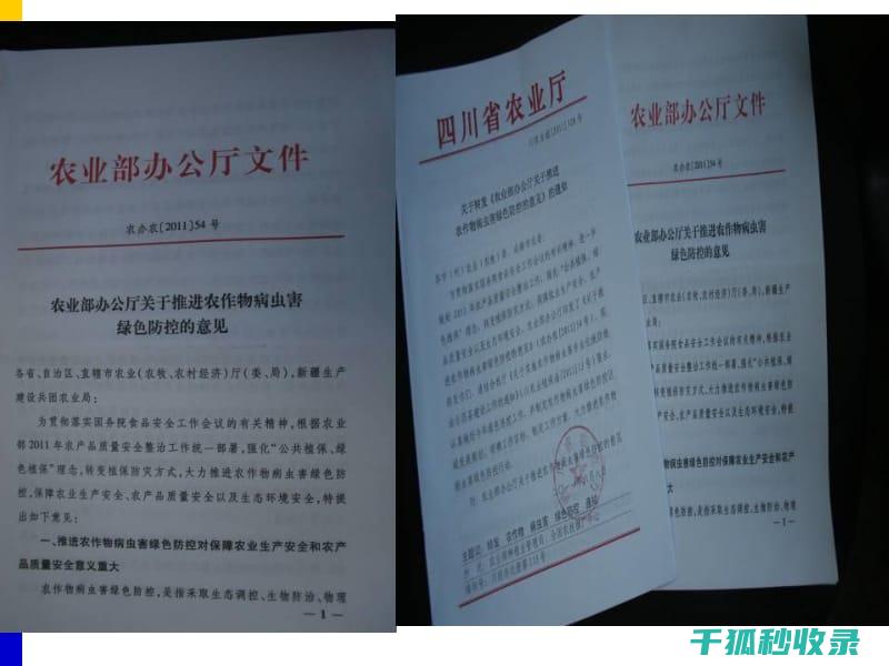 如何诱捕器吸引并消灭害虫