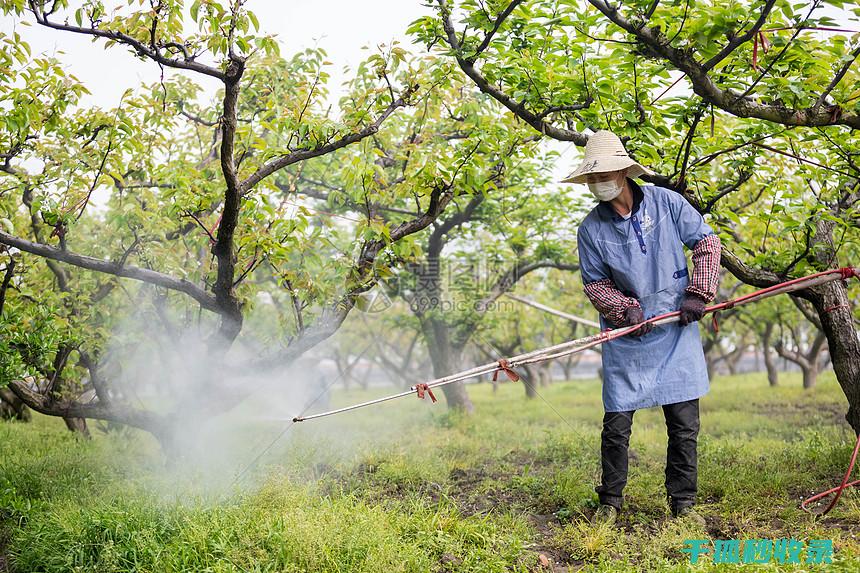 植物病虫害防治：如何通过合理的田间操作降低病虫害风险 (植物病虫害防治考试题及答案)