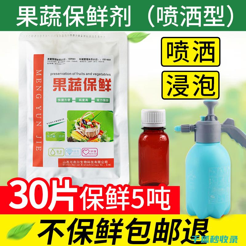 延长蔬菜保鲜期的90个实用招数 (延长蔬菜保鲜期的方法)