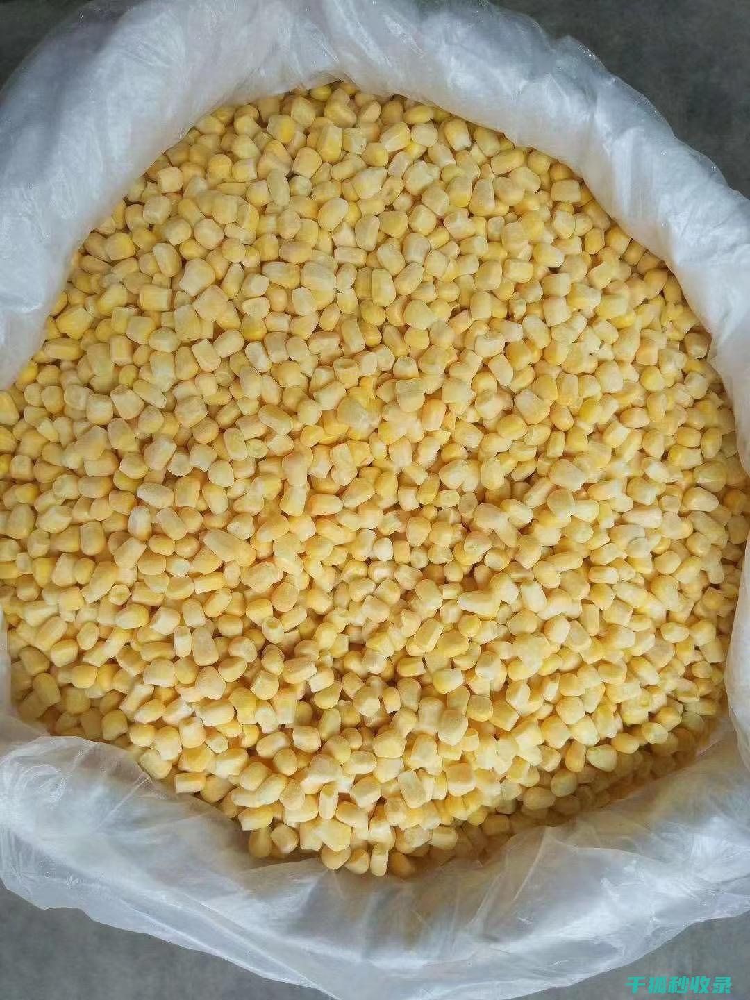 冷水中浸泡法的秘密武器