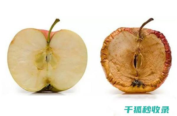 防止苹果氧化