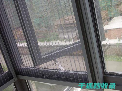 纱窗快速清洁技巧：保持窗户明亮 (纱窗快速清洁妙招)