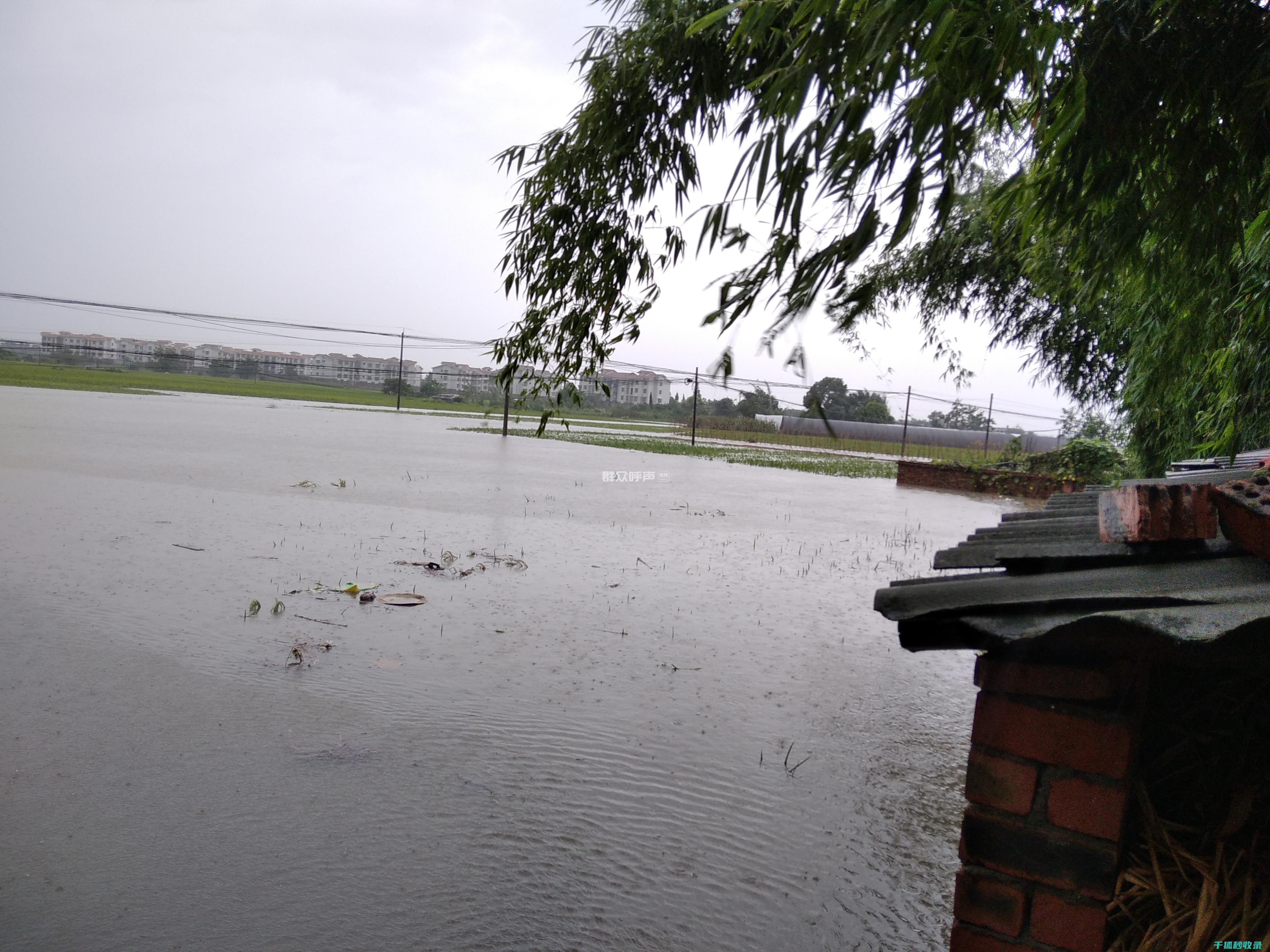 雨水侵袭中的最佳选择：如何挑选优质雨伞？ (雨水侵袭的意思)
