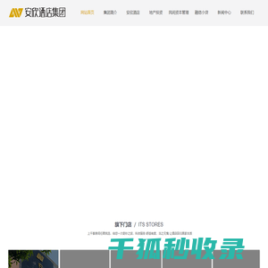 安欣集团