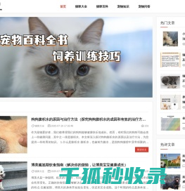 宠猫网