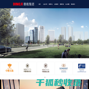 鼎极集团,鼎极地产,